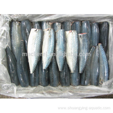 Chinese Frozen Fish Mackerel HGT Price For Canned